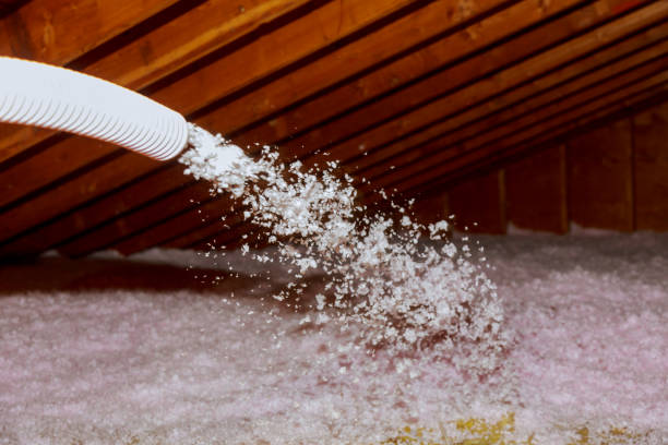 Best Local Insulation Services  in Ladera Heights, CA