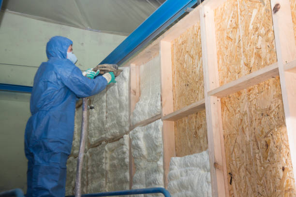 Attic Insulation Near Me in Ladera Heights, CA